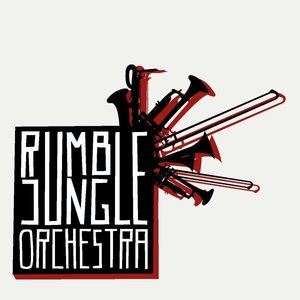 Rumble Jungle Orchestra 的头像