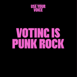 Anti-Flag - Use Your Voice: Voting Is Punk Rock - Zortam Music