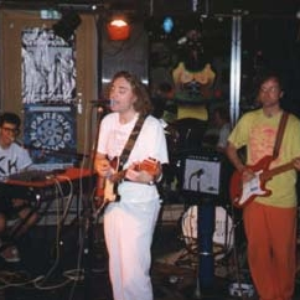 The Chrysanthemums photo provided by Last.fm