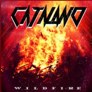 Wildfire