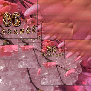 06 Elegance