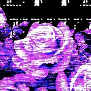 Xevvec 的头像
