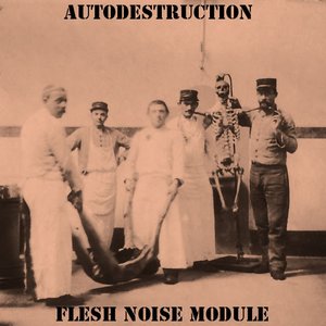 Flesh Noise Module