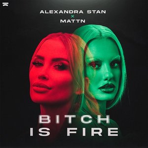 Bitch Is Fire - Single