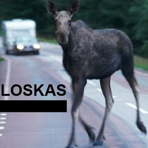 Avatar for Loskas