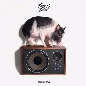 Truffle Pig