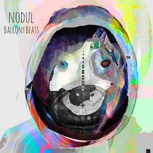 nodul 的头像