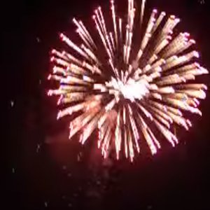 betama_x