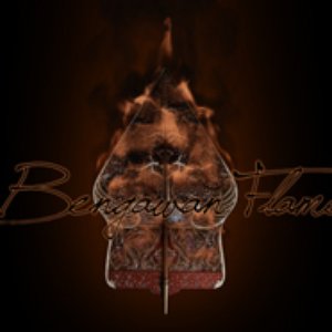 Bengawan Flame için avatar