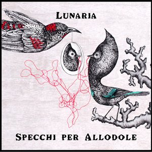 Specchi per allodole