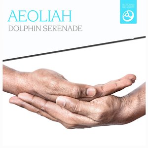 Dolphin Serenade