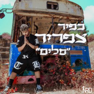 סלים
