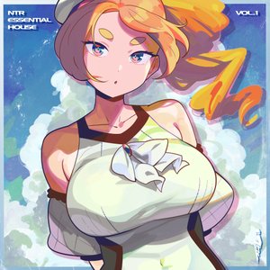 NTR Essential House Vol.1