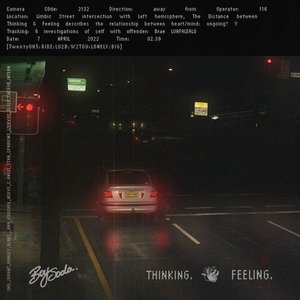 THE DISTANCE BETWEEN THINKING AND FEELING