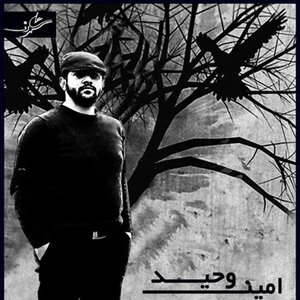 Avatar for Amin Vahid