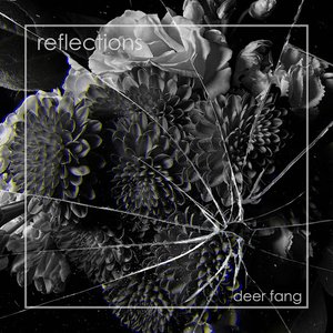 Reflections - Single
