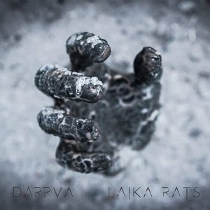 Laika Rats