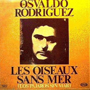 “Les oiseaux sans mer”的封面