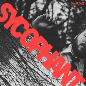 Artwork for Sycophant