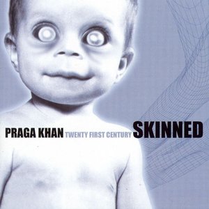 Image pour 'Twenty First Century Skin - The Remixes'