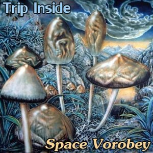 Space Vorobey için avatar