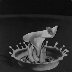 Transit Venus - Single