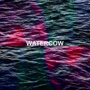 Watercow