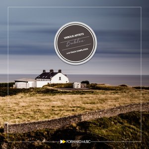 A 40 Track Compilation: Dublin