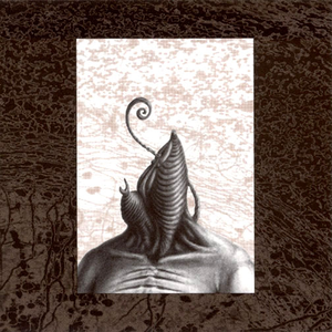 An Uncertain Animal, Ruptured; Tissue Expanding in Conversation cover