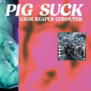 PIGSUCK
