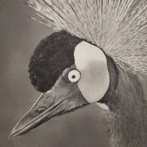 Transmissions From The Telos Vol. IV