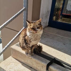 Never See Me Again - Single