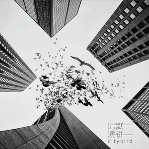 City Bird