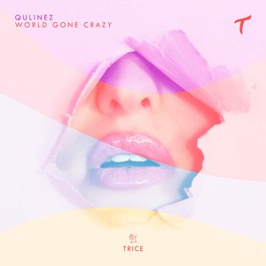 World Gone Crazy - Single