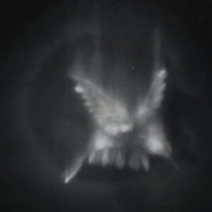Make The Feed Right (with T.L.O.G. MUSIC) [Explicit]