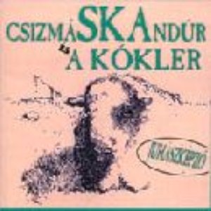 csizmáSKAndúr için avatar