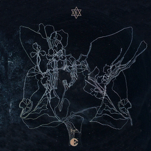 Enigma - The Dusted Variations - Zortam Music