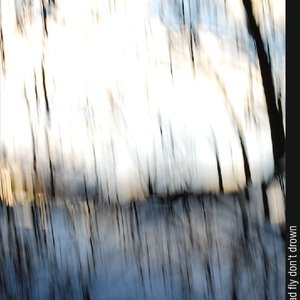 Avatar for Dead Fly Don't Drown