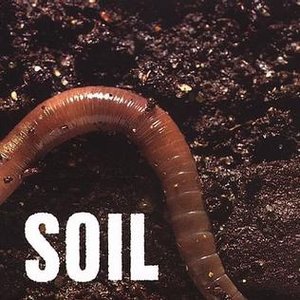 Soil - EP