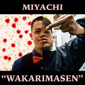 Wakarimasen - Single