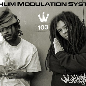 Nephlim Modulation Systems photo provided by Last.fm