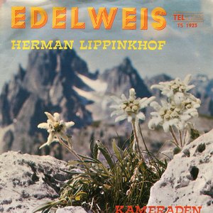 Edelweis / Kameraden