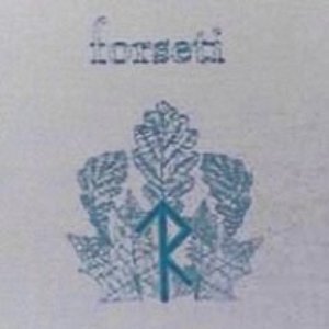“Raunen”的封面