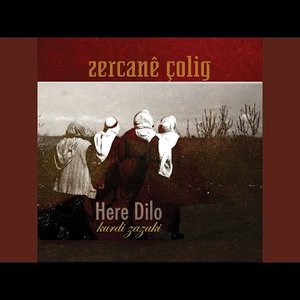 Zercan Çolîg のアバター