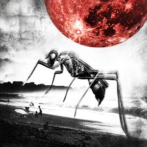 Mosquito