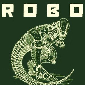 robo.saur 的头像