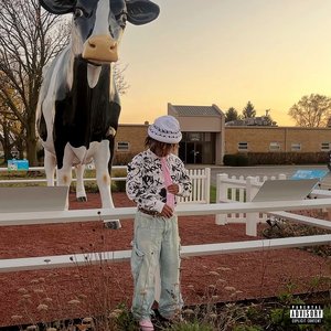 moo (heavy steppin') - Single