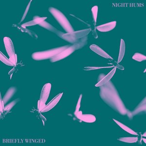 Briefly Winged