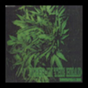 Weed In The Head 的头像