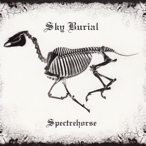 Spectrehorse